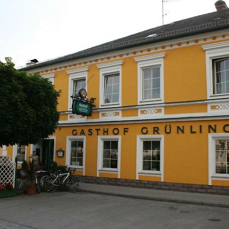 Gasthof Gruenling Wallsee Exterior photo